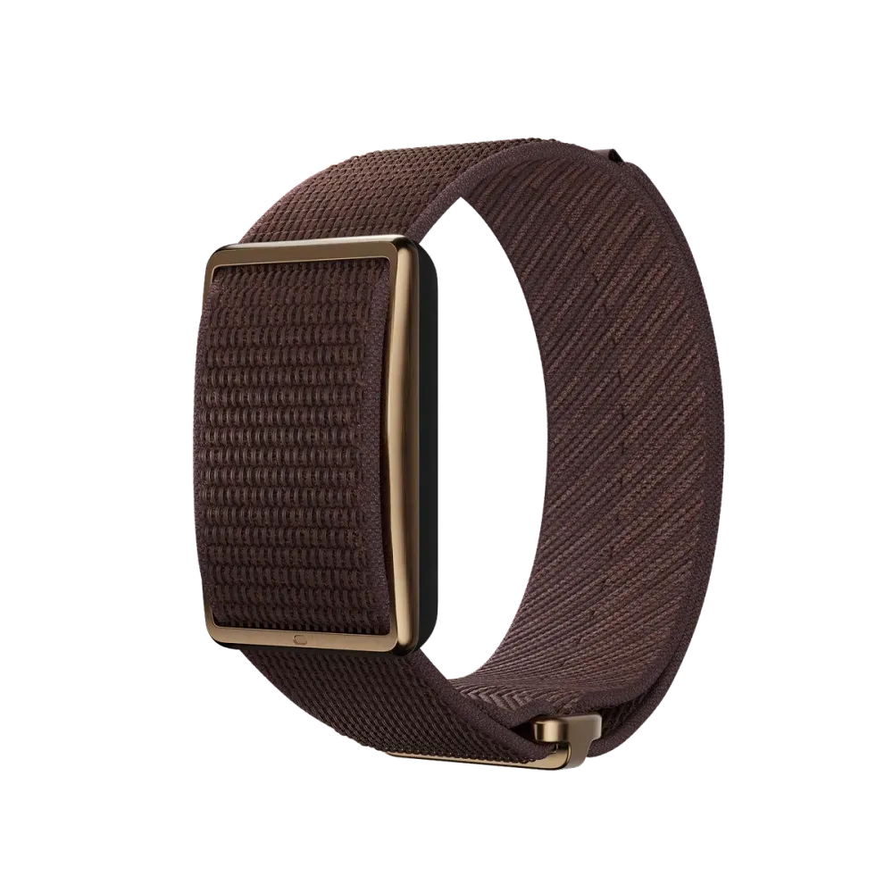 POLAR Loop