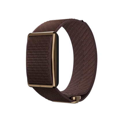 POLAR Loop