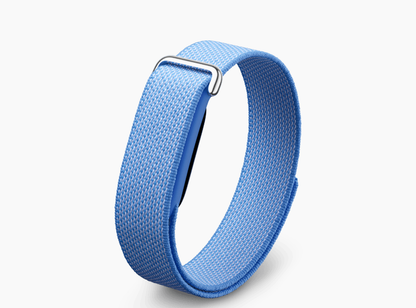 Google Fitbit Air