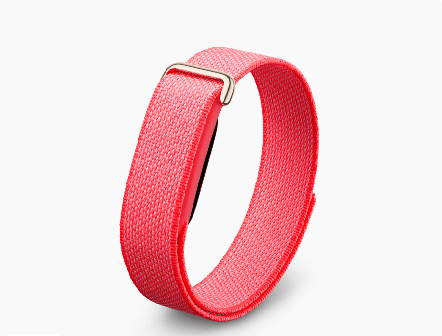 Google Fitbit Air