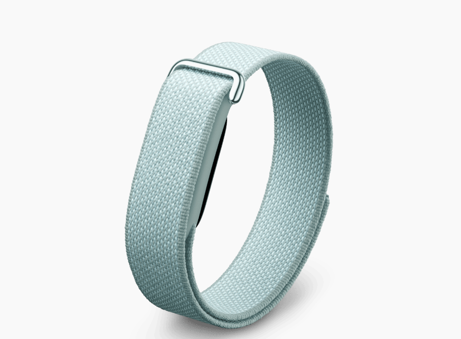 Google Fitbit Air