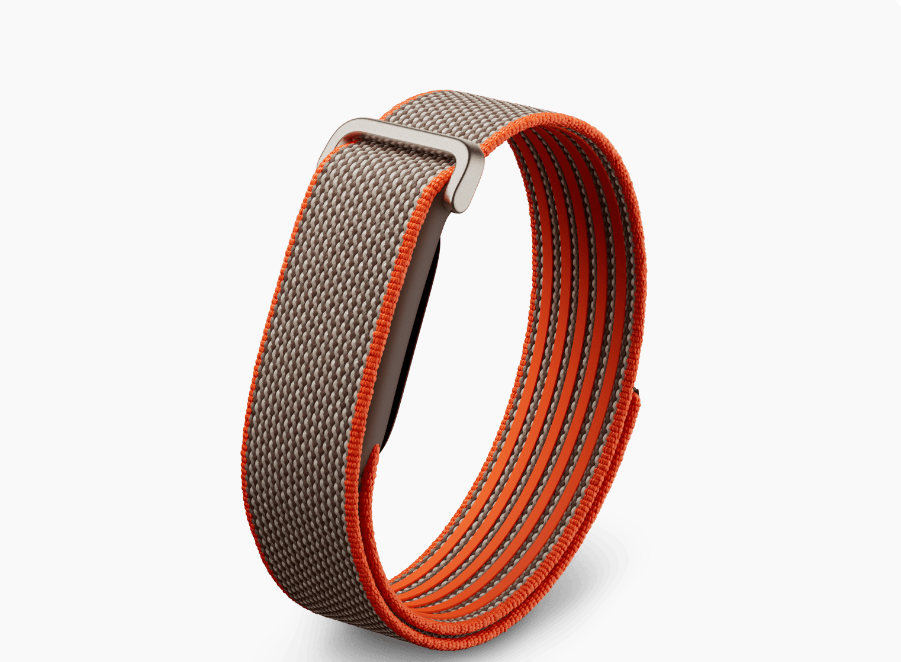 Google Fitbit Air
